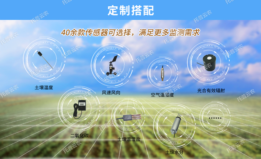 風(fēng)向風(fēng)速儀1.jpg